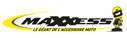 logo maxxess